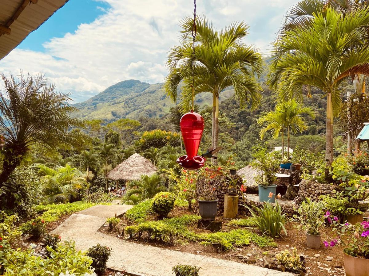 Ecohotel Campo Alegre Norcasia Caldas Dış mekan fotoğraf